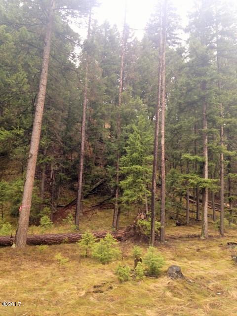 9710 West Fork Road Darby, MT 59829 - Photo 1 of 1 Gallery Image 1
