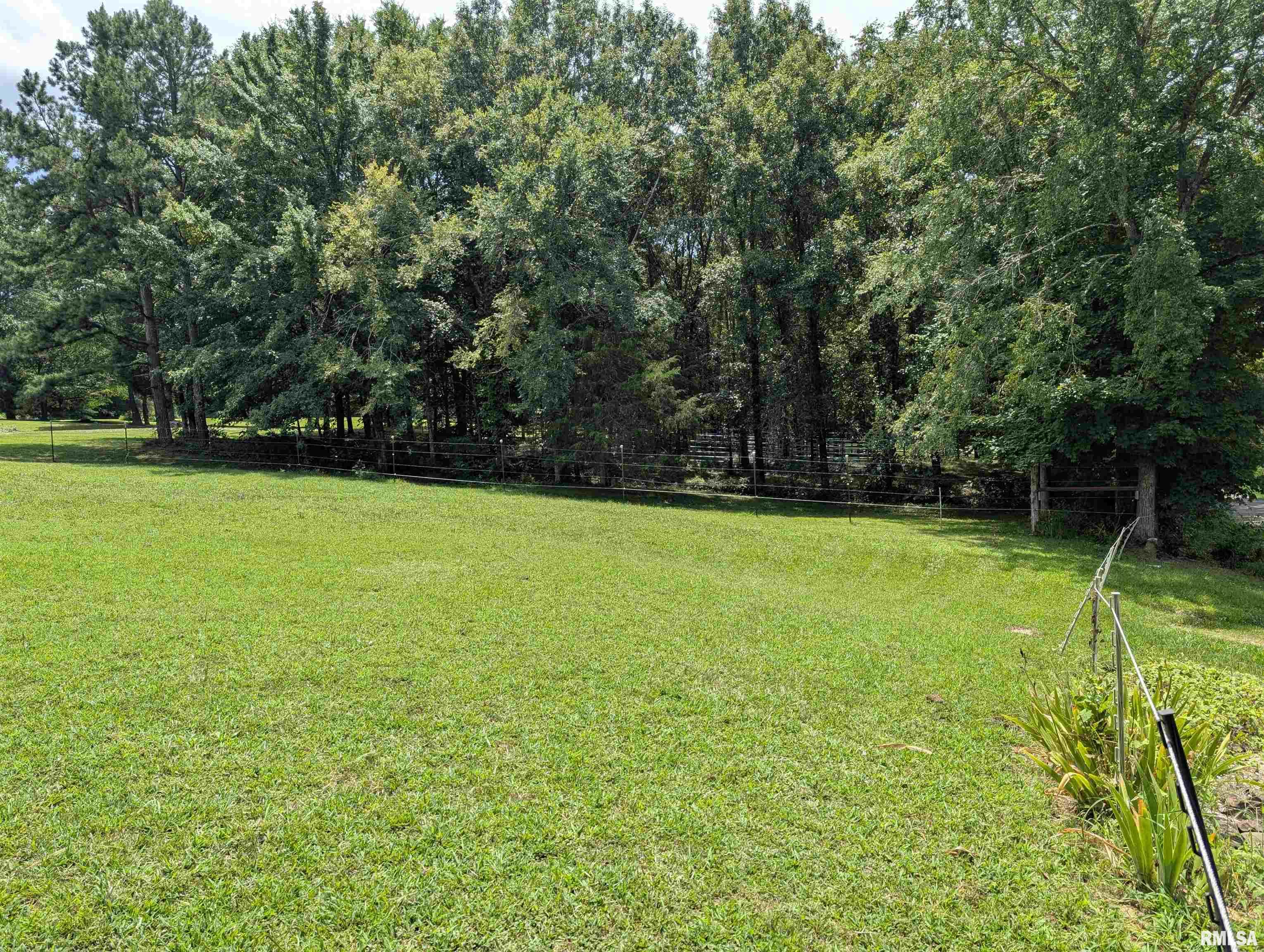 280 Henry Hicks Road Herod, IL 62947 - Photo 10 of 45 Gallery Image 10