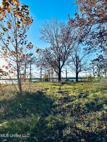 $42,000 | 0 Lake Mary Road, Woodville, MS 39669