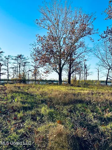 $42,000 | 0 Lake Mary Road, Woodville, MS 39669