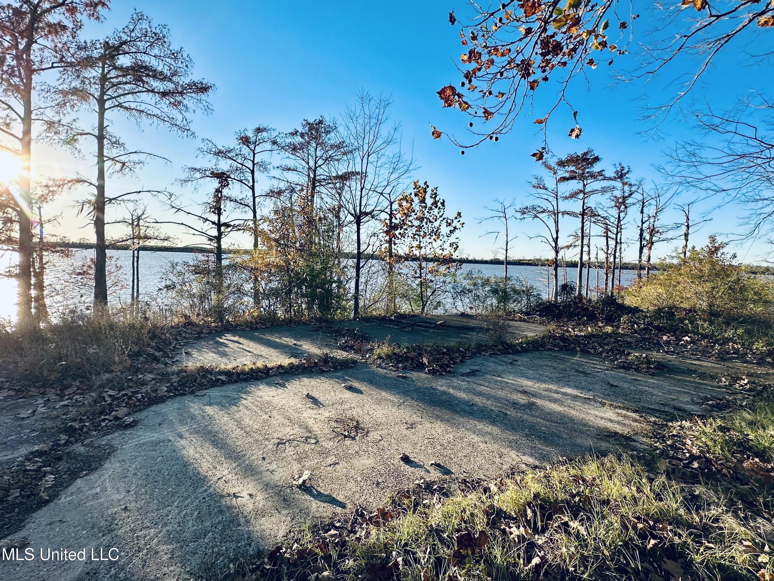 0 Lake Mary Road Woodville, MS 39669 - Photo 3 of 5 IMG_8260