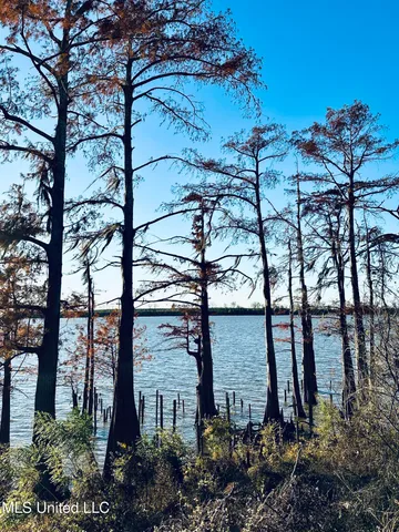 $42,000 | 0 Lake Mary Road, Woodville, MS 39669
