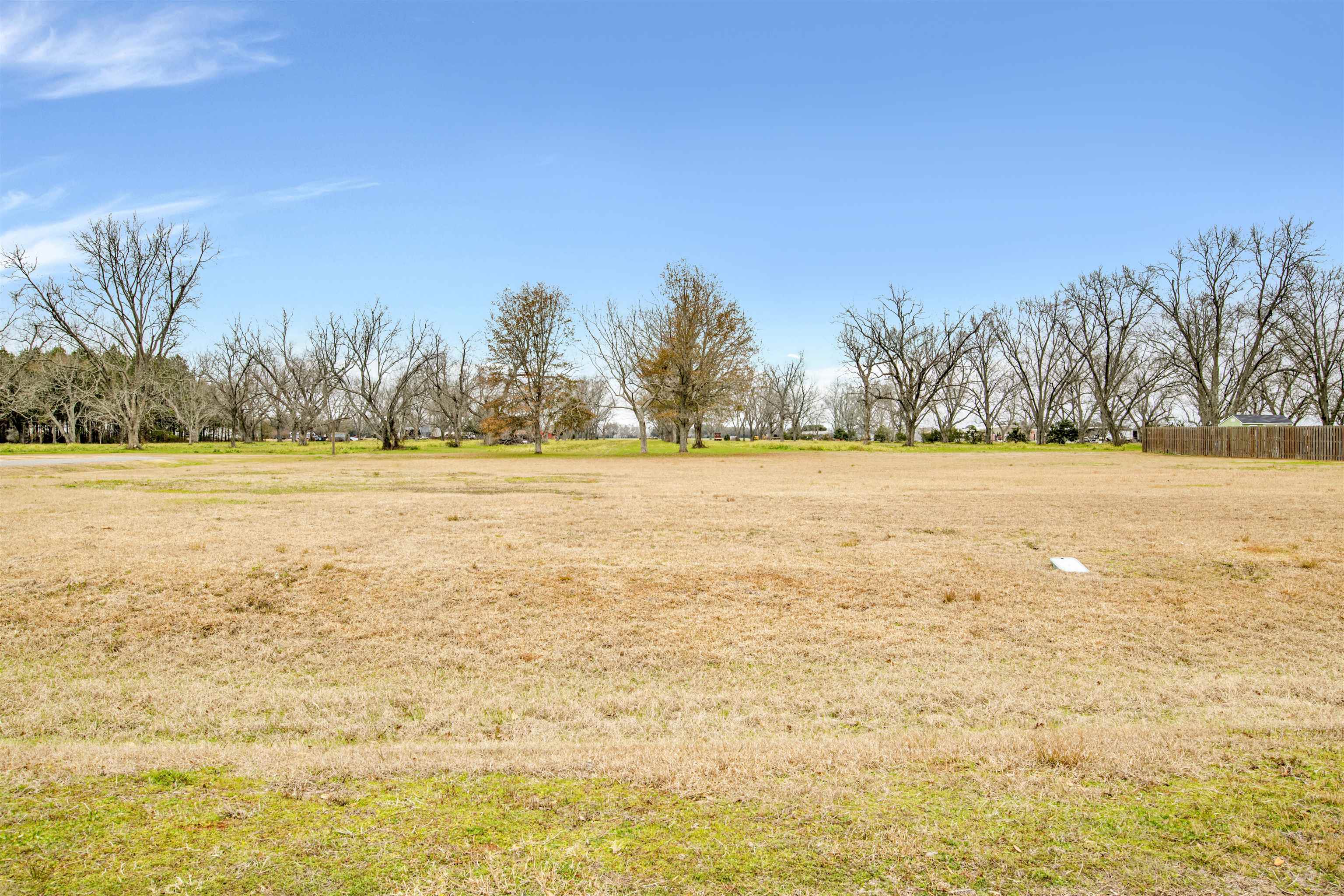 0 Warrenton Road Daphne, AL 36526 - Photo 2 of 4