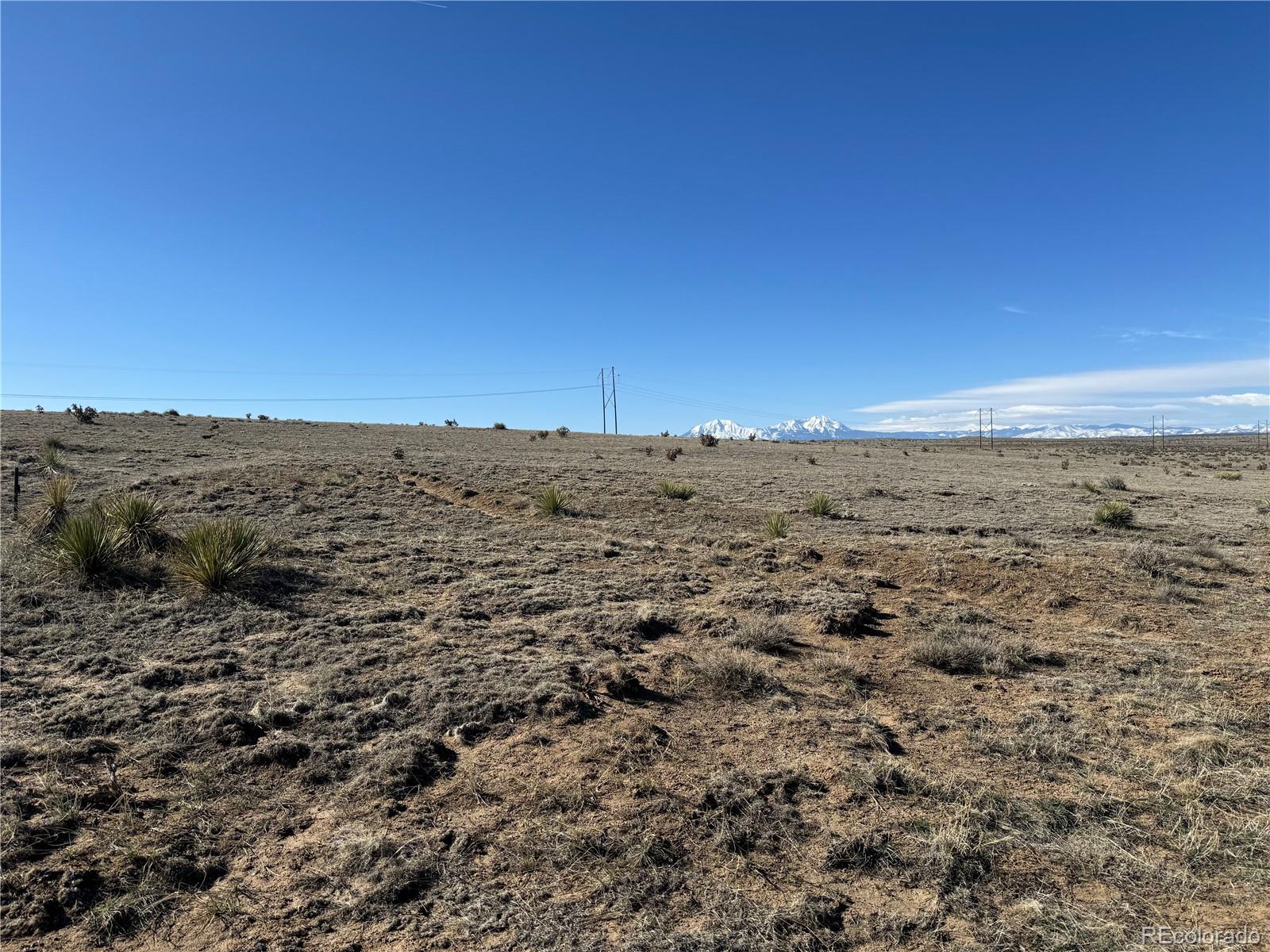 202 Colorado Land And Livestock Rye, CO 81069 - Photo 4 of 7