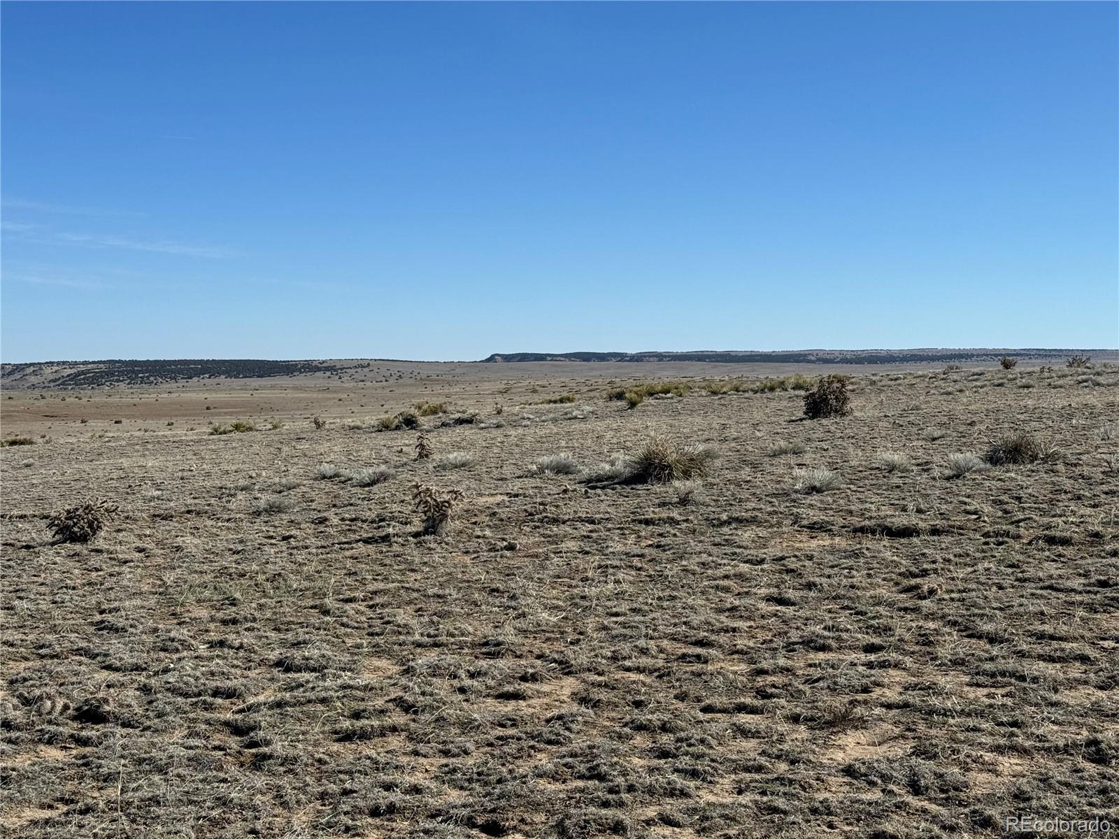 202 Colorado Land And Livestock Rye, CO 81069 - Photo 7 of 7