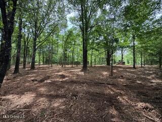Red Banks Road Holly Springs, MS 38635 - Photo 2 of 3 IMG_0027 (1)
