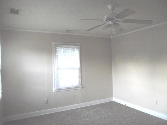 317 Barbara Road Augusta, GA 30906 - Photo 7 of 16