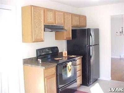 315 Evergreen Road Lehighton, PA 18235 - Photo 5 of 23 Dramatic black appliances