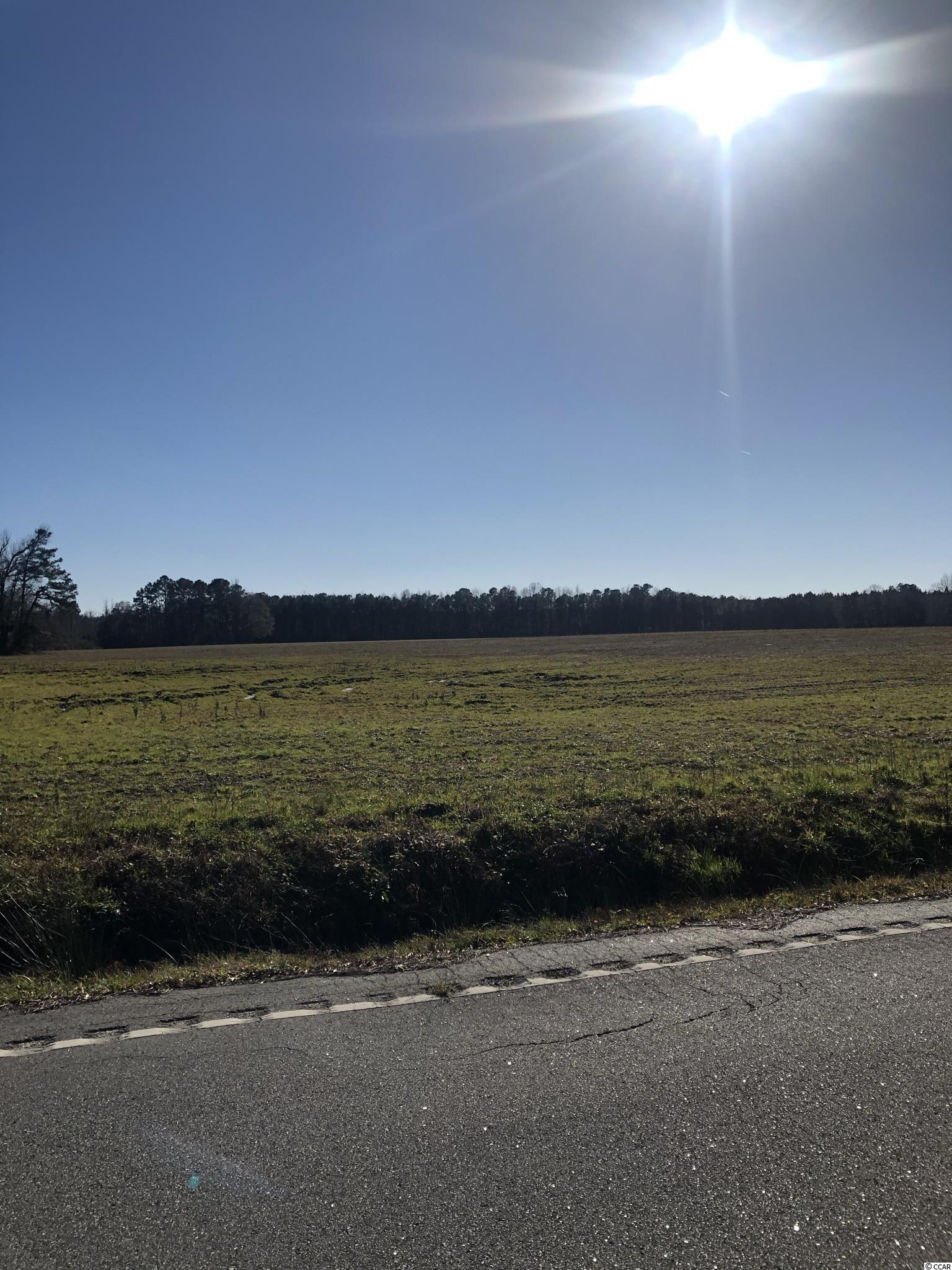 Lot 5 Mitchell Swamp Road Loris, SC 29569 - Photo 1 of 2 Gallery Image 1