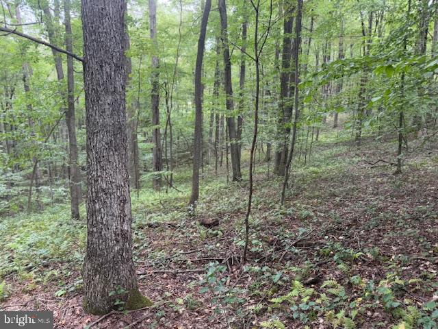 Tbd Simpson Road Belington, WV 26250 - Photo 23 of 35 Gallery Image 23