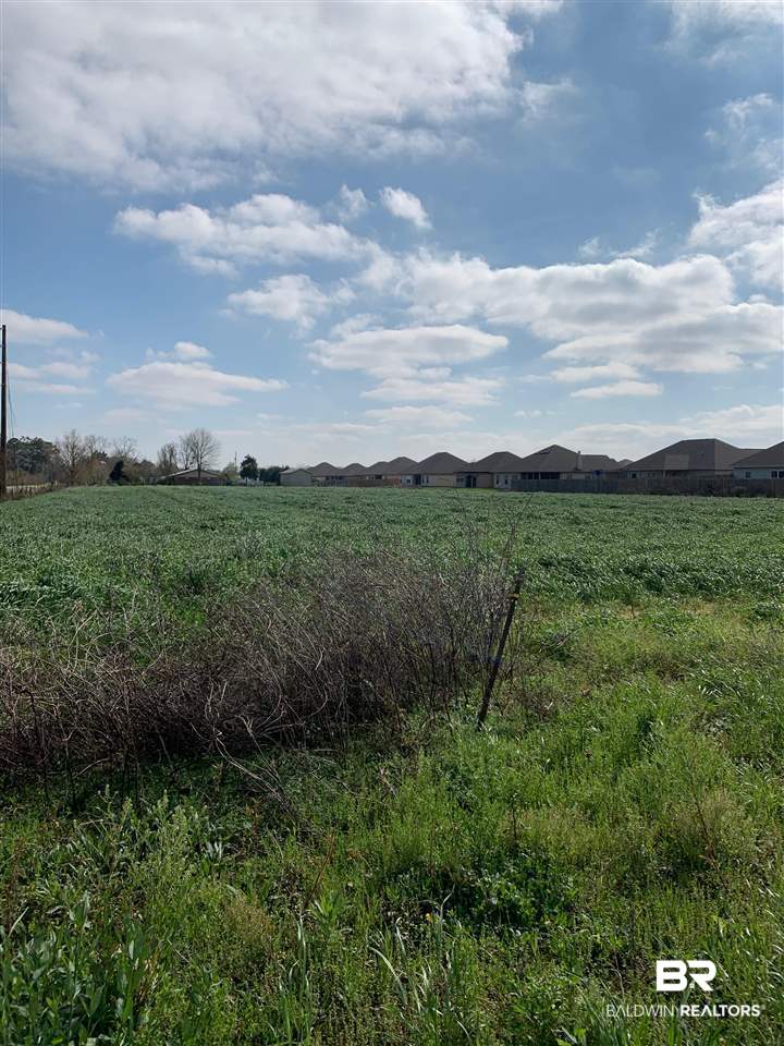 8835 Nall Road Foley, AL 36535 - Photo 2 of 3