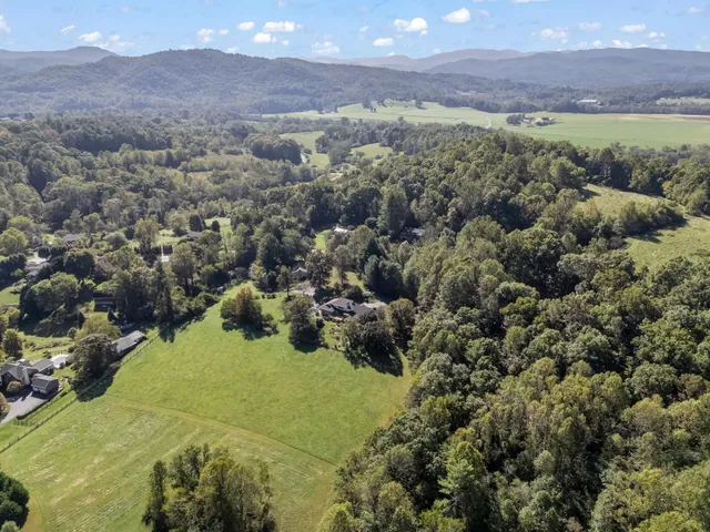 $1,650,000 | 26 Canter Court, Horse Shoe, NC 28742