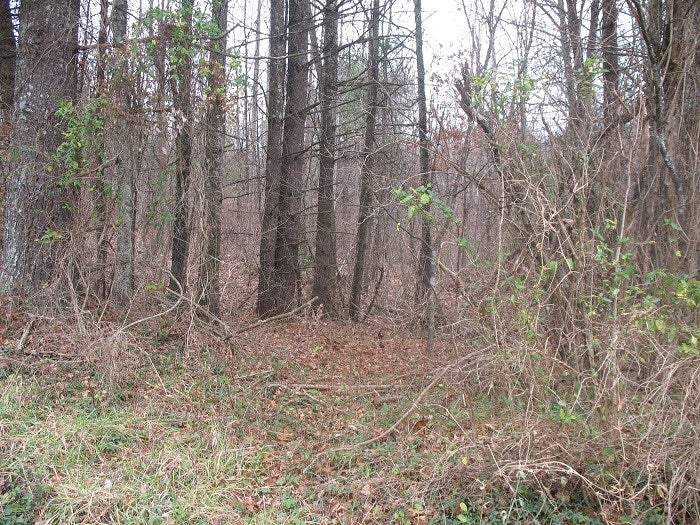 Tbd Tbd Quaker Road Galax, VA 24333 - Photo 10 of 10 Gallery Image 10