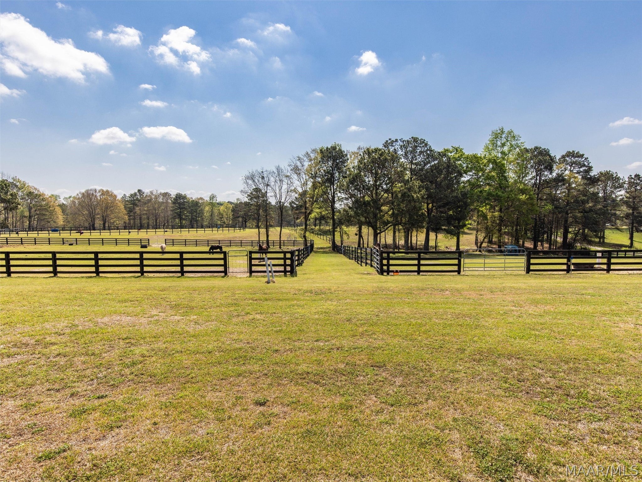 398 Abrams Road Tallassee, AL 36078 - Photo 60 of 75 Gallery Image 60