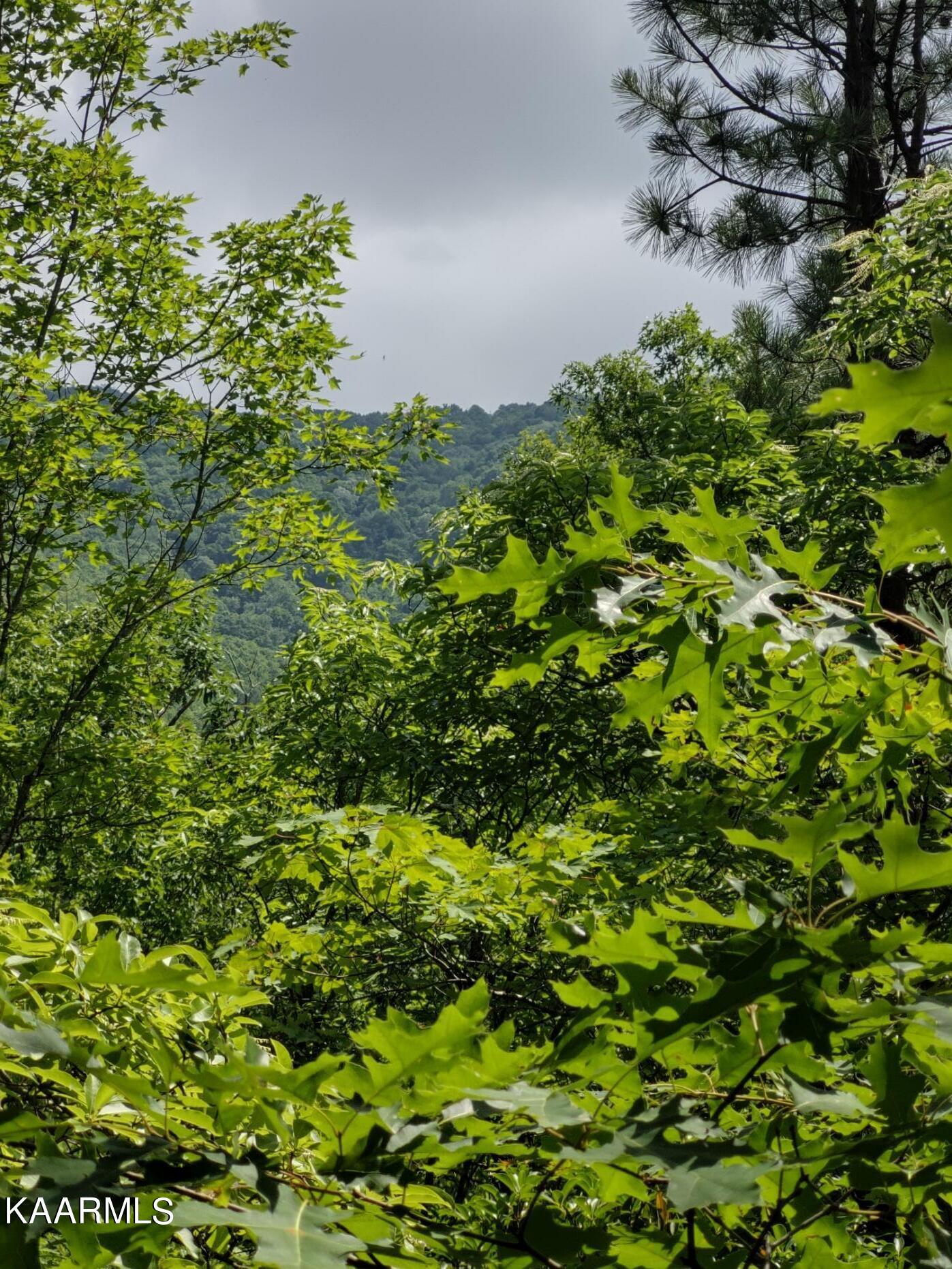 Nathan Way Way Sevierville, TN 37862 - Photo 1 of 3 PIC (5)