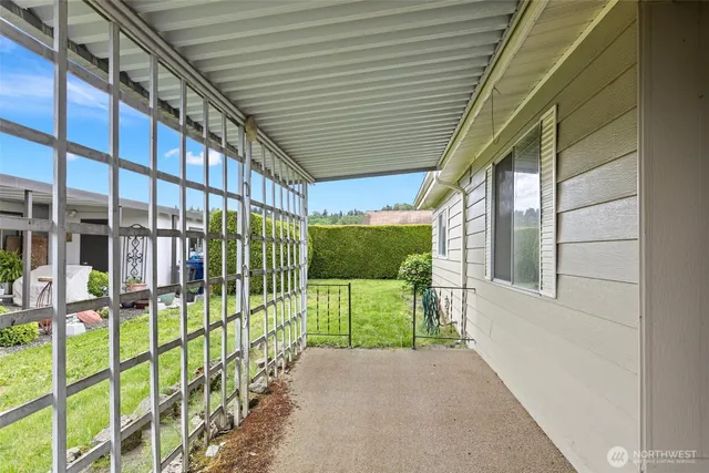 a view of a backyard with plants