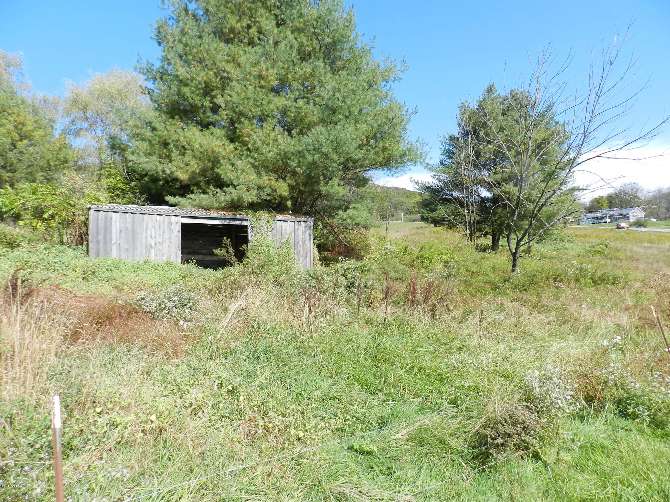 2304 Steam Valley Road Trout Run, PA 17771 - Photo 38 of 39 Gallery Image 38