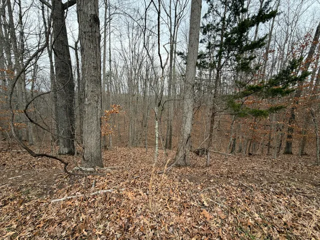 $25,000 | Lot 25 Oak Hollow Road, Moneta, VA 24121