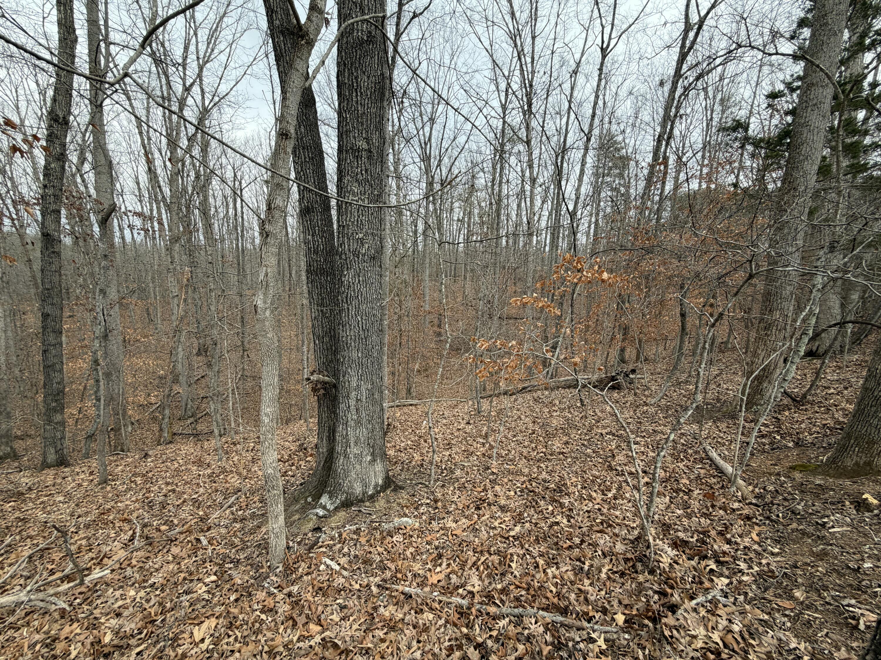 Lot 25 Oak Hollow Road Moneta, VA 24121 - Photo 3 of 4 IMG_1027