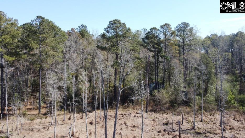 1672 Dixired Road Leesville, SC 29070 - Photo 32 of 67