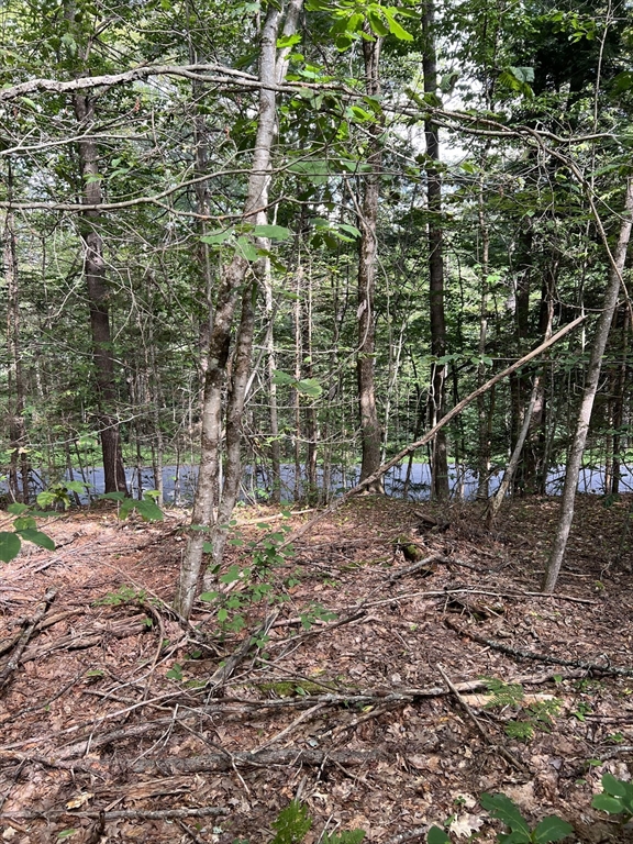 Lot 134 Shaw Road Windsor, MA 01270 - Photo 18 of 19 Gallery Image 18