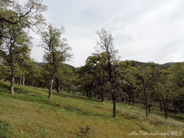 0 Rice Drive Tehachapi, CA 93561 - Photo 7 of 16 Gallery Image 7