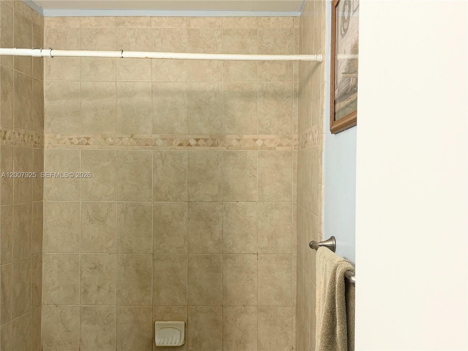 13541 Southwest 10th Place Davie, FL 33325 - Photo 13 of 20 a bathroom with a shower