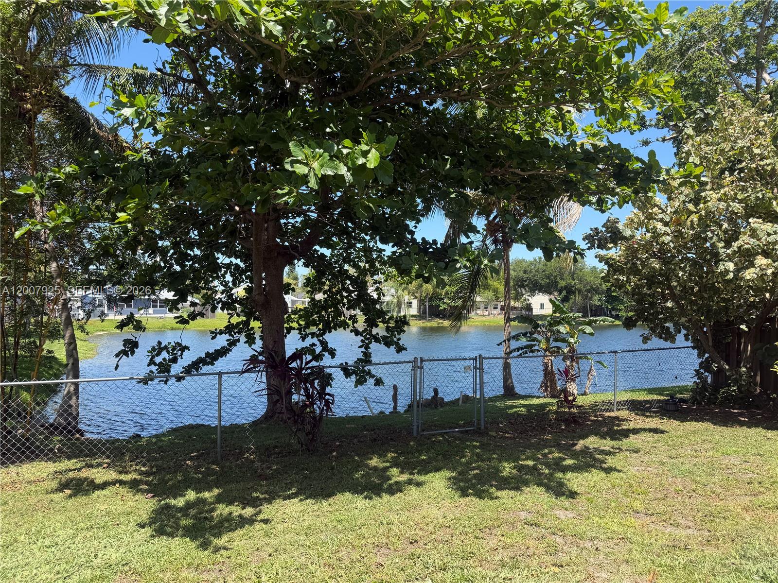 13541 Southwest 10th Place Davie, FL 33325 - Photo 18 of 20 a view of a yard with plants and large trees