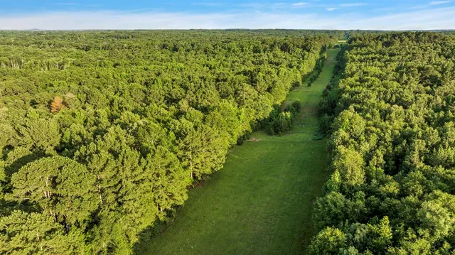 a view of a yard with an outdoor space