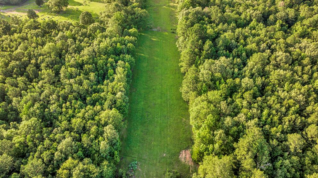 757 St Winona Tx 75792 Tyler, TX 75708 - Photo 6 of 7 a view of a garden