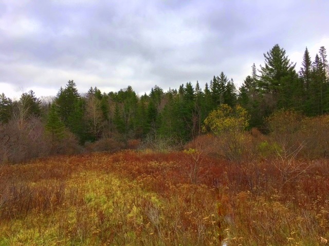 0 Route 100 Route Readsboro, VT 05350 - Photo 2 of 3