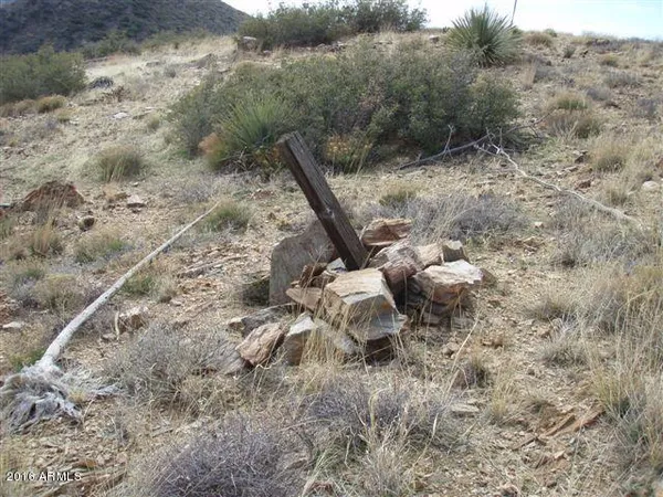 a view of a dry yard