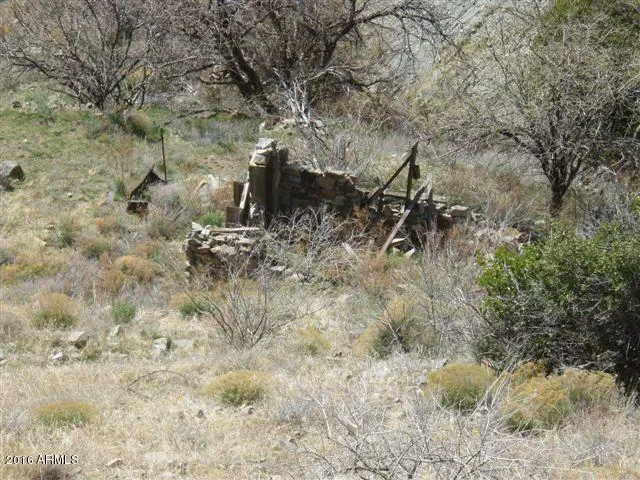 a view of a dry yard with green space