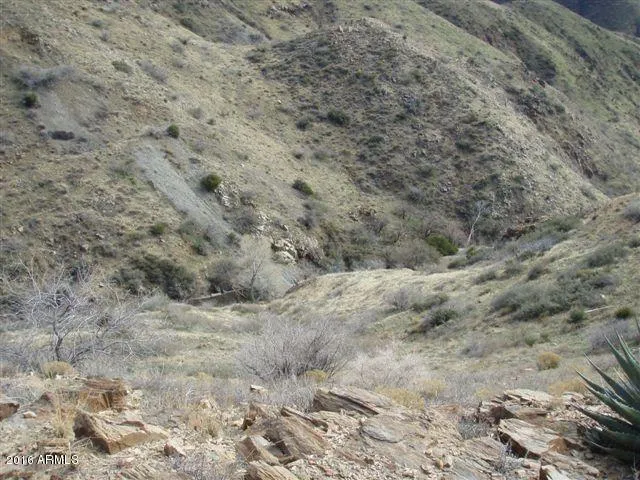 $329,940 | 0 Fortuna 1&2, Unit 1&2, Superior, AZ 85173