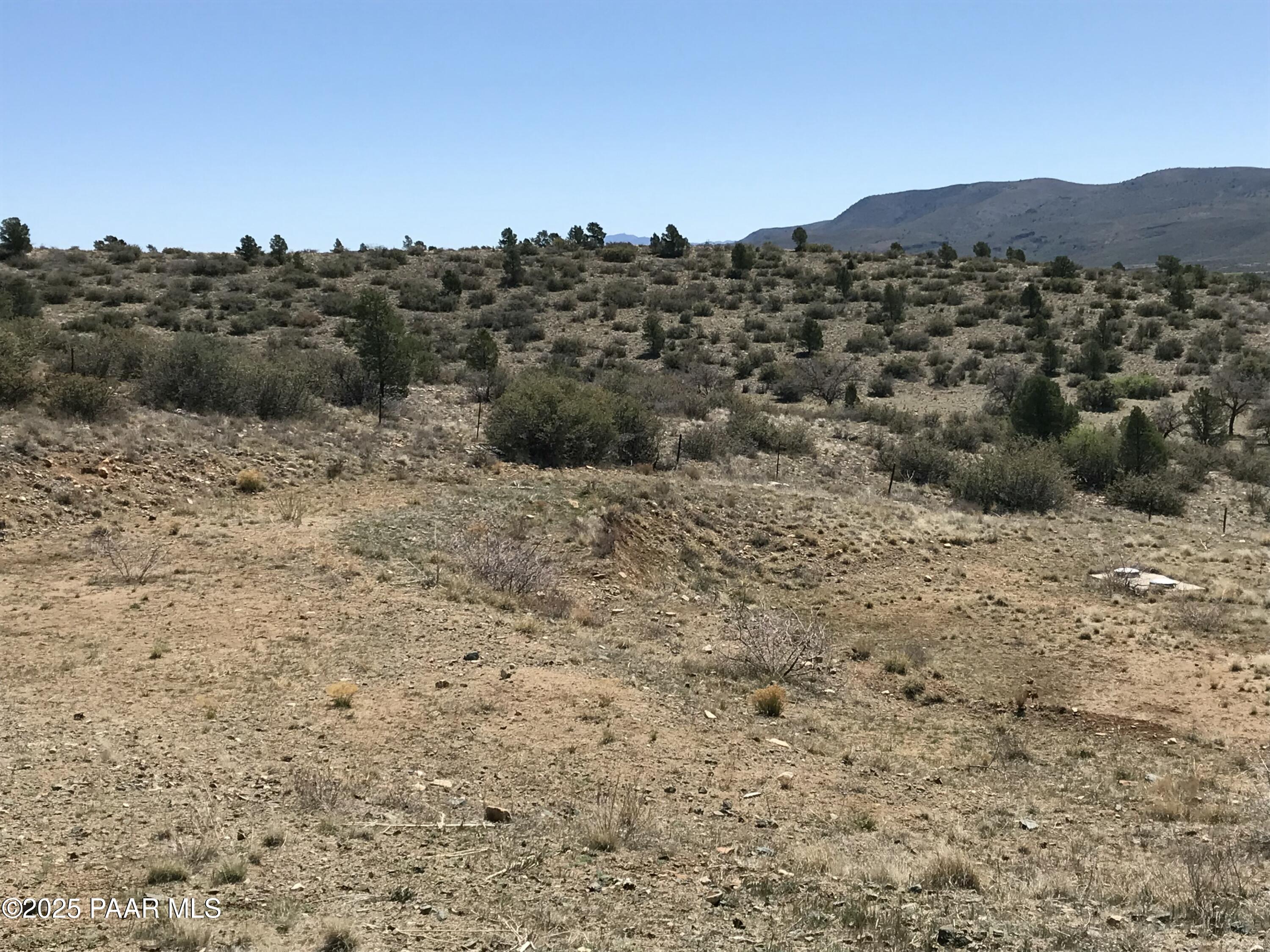 18351 Peeples Valley Road Peeples Valley, AZ 86332 - Photo 11 of 19 a view of a dry space with a mountain in the background