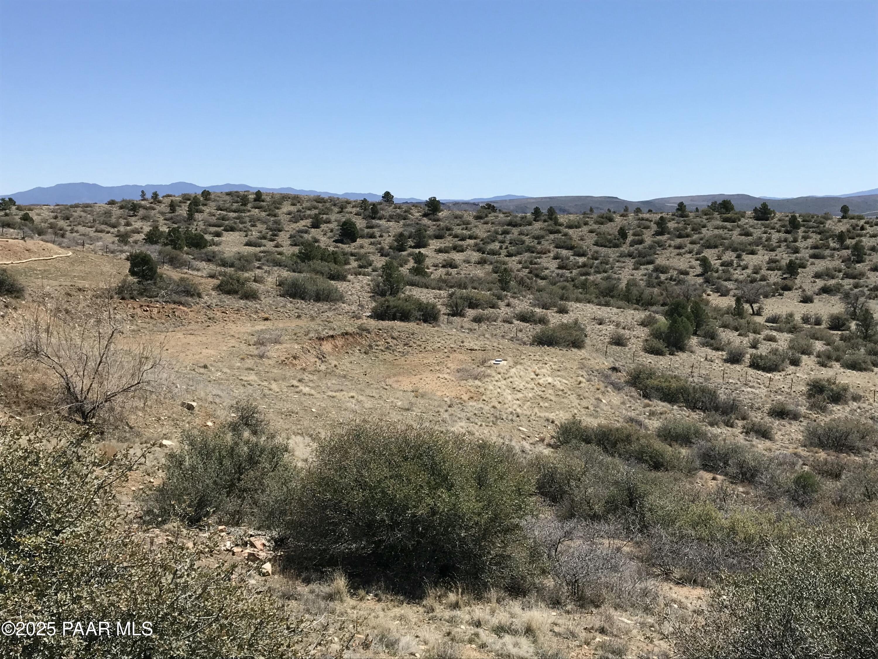 18351 Peeples Valley Road Peeples Valley, AZ 86332 - Photo 8 of 19 a view of a dry yard