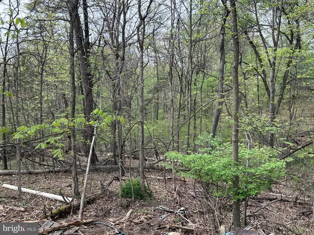 $30,000 | 25-27 Broad Lane, Falling Waters, WV 25419