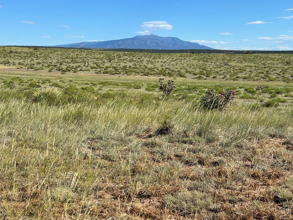Lot 46 River Ridge Trail La Veta, CO 81055 - Photo 4 of 18