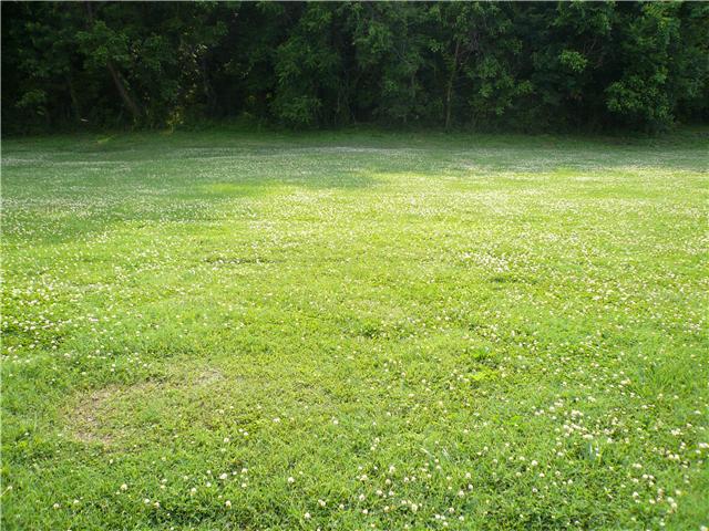 1357 Gen George Patton Road, Unit 1357 Nashville, TN 37221 - Photo 17 of 17 Location is private and very peaceful!