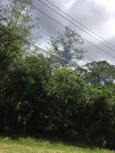 Vacant Lot Vacant Run Jupiter, FL 33478 - Photo 11 of 15 IMG_1653