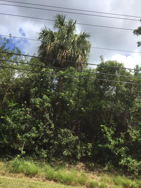 Vacant Lot Vacant Run Jupiter, FL 33478 - Photo 12 of 15 IMG_1655