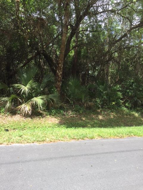 Vacant Lot Vacant Run Jupiter, FL 33478 - Photo 13 of 15 IMG_1658