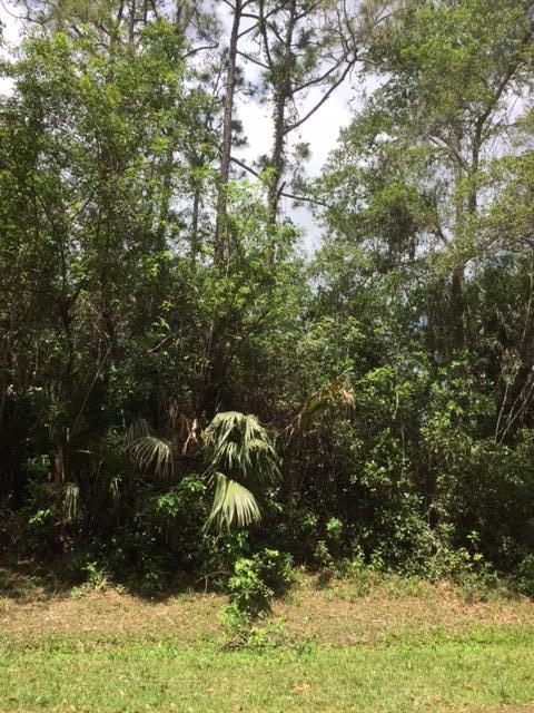 Vacant Lot Vacant Run Jupiter, FL 33478 - Photo 14 of 15 IMG_1659