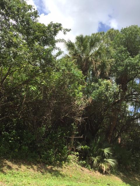 Vacant Lot Vacant Run Jupiter, FL 33478 - Photo 15 of 15 IMG_1656
