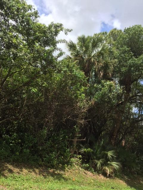 Vacant Lot Vacant Run Jupiter, FL 33478 - Photo 10 of 15 IMG_1657