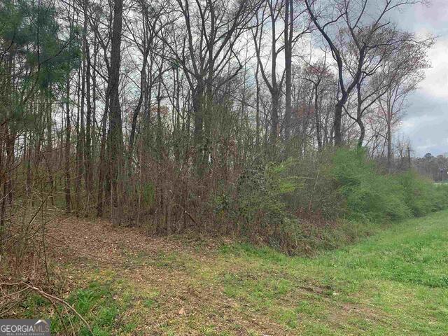 1156 County Line Road Griffin, GA 30224 - Photo 3 of 5 a view of outdoor space and trees