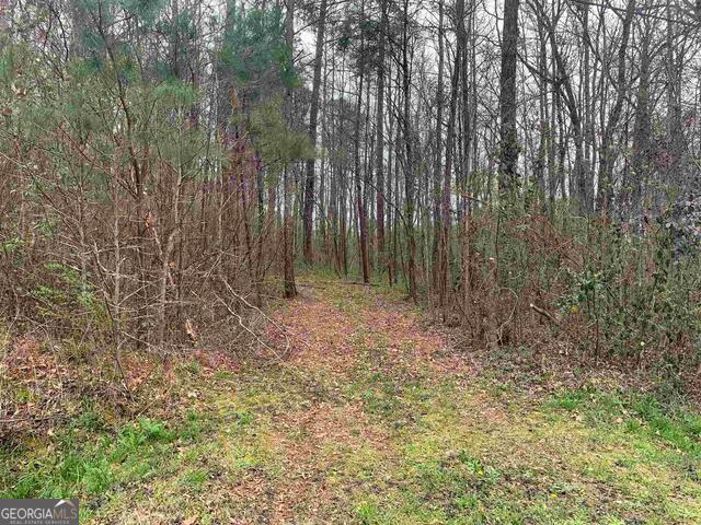 1156 County Line Road Griffin, GA 30224 - Photo 4 of 5 a view of outdoor space and green space