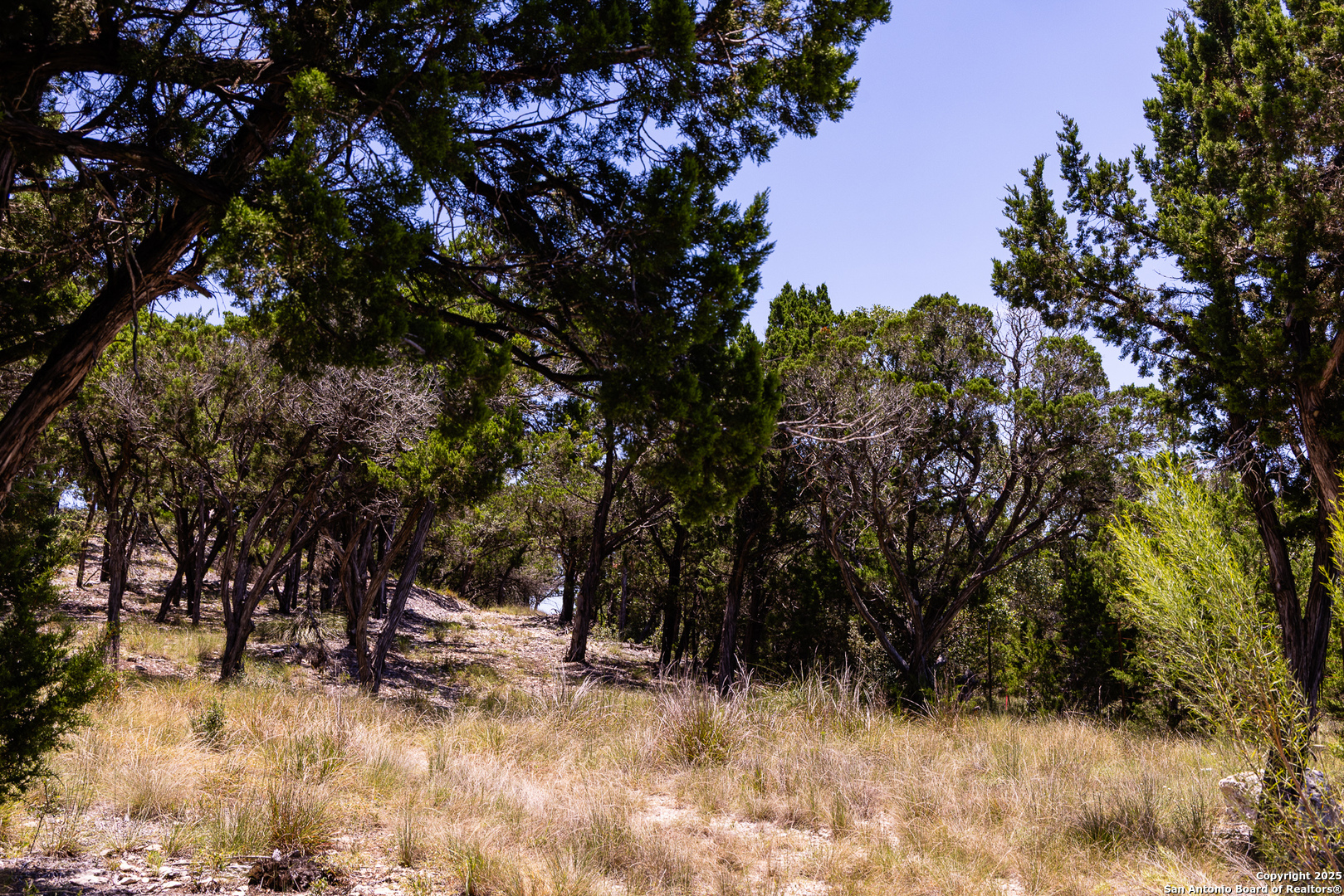Tbd Pr 177 Helotes, TX 78023 - Photo 2 of 34 a view of a covered with snow in front of yard and trees