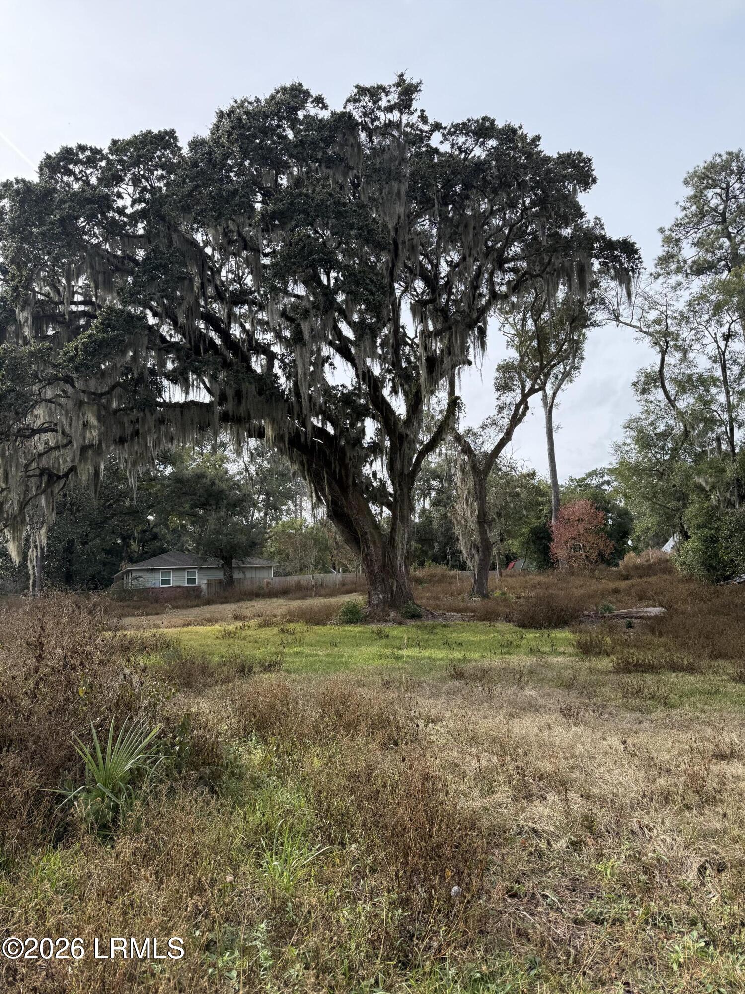 103 Whitfield Street Beaufort, SC 29902 - Photo 19 of 33 IMG_5006
