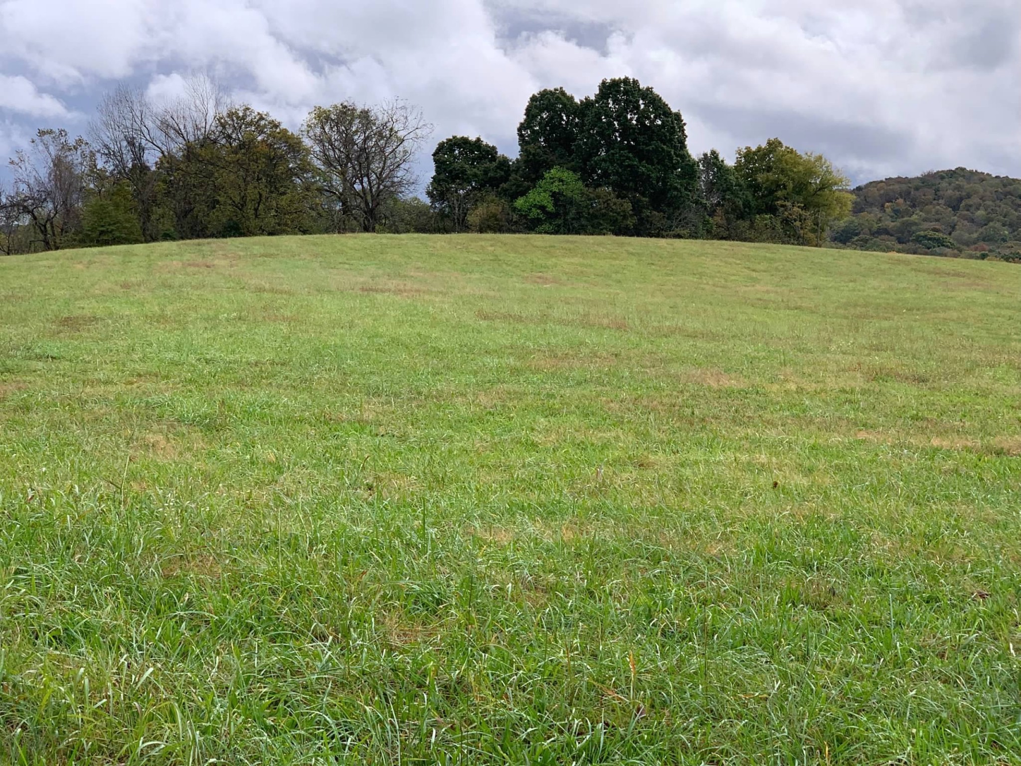 0 Hayes Denton Road Columbia, TN 38401 - Photo 1 of 20 a view of a field with an trees in the background